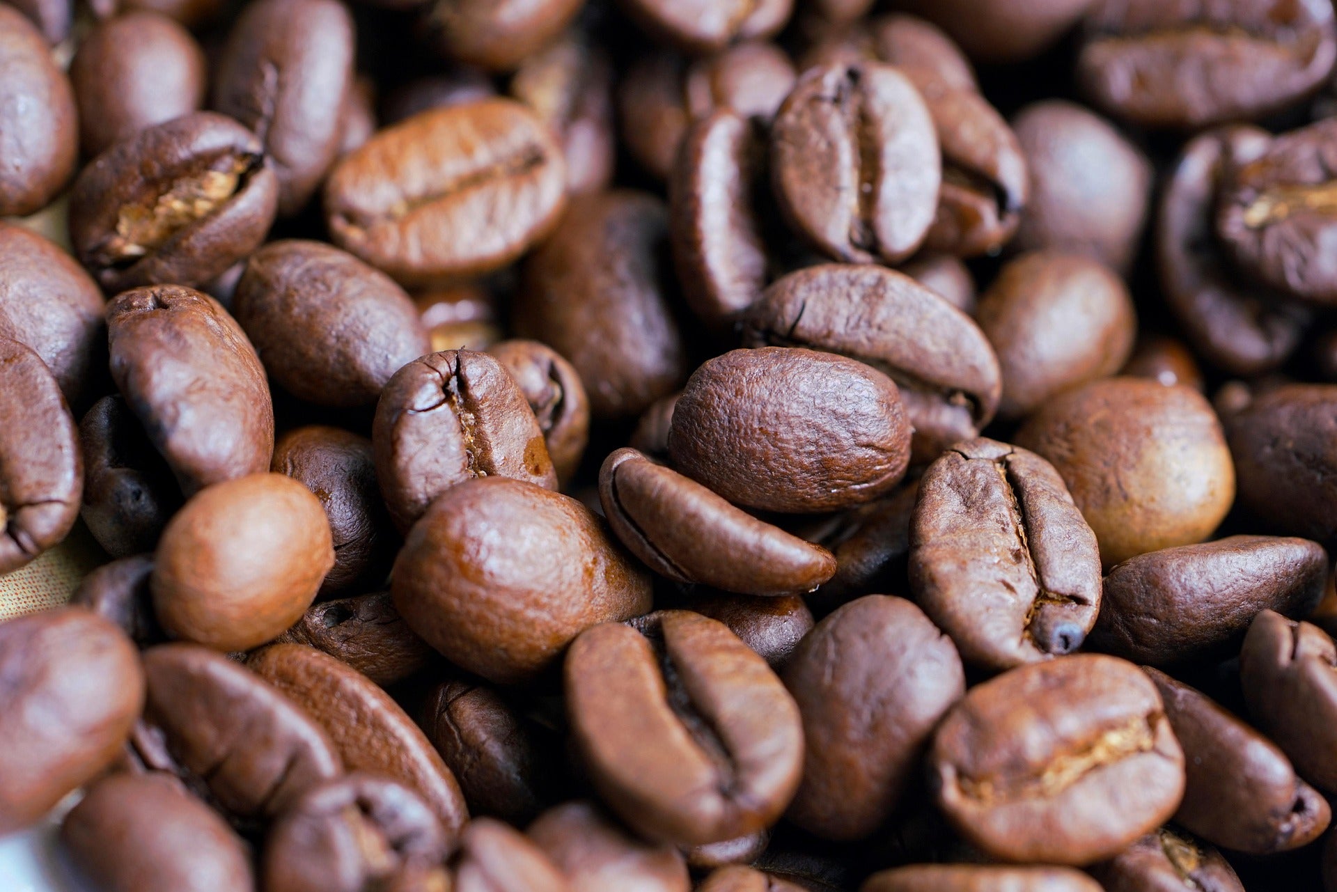 Close-up of roasted coffee beans